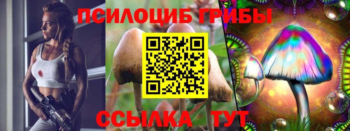 Псилоцибиновые грибы Psilocybine cubensis  Вход с VPN  Псилоцибиновые грибы прущие грибы  Котельники 